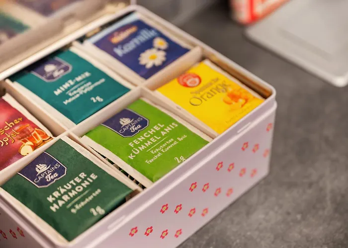 Altstadt Smartluxusoase Wlan Netflix Magenta Disney+ Apartment Meissen